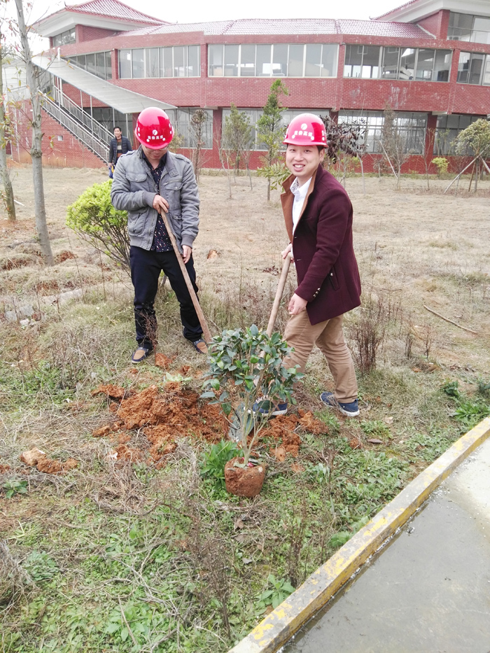 種一棵小樹(shù)，綠一方凈土